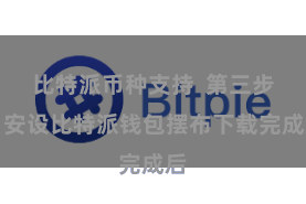 比特派币种支持 第三步:安设比特派钱包摆布下载完成后
