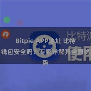 Bitpie APP地址 比特派钱包安全吗？专家详解其全面优势