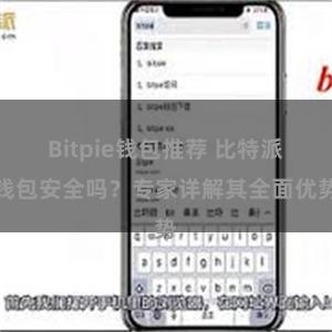 Bitpie钱包推荐 比特派钱包安全吗？专家详解其全面优势