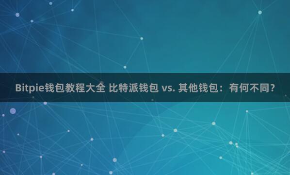 Bitpie钱包教程大全 比特派钱包 vs. 其他钱包：有何不同？