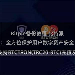 Bitpie备份教程 比特派：全方位保护用户数字资产安全