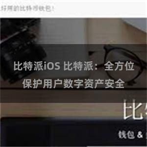 比特派iOS 比特派：全方位保护用户数字资产安全