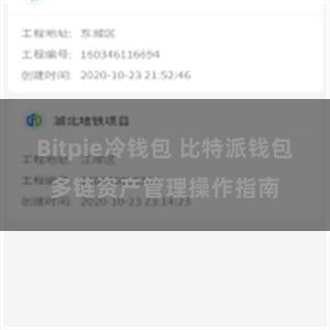 Bitpie冷钱包 比特派钱包多链资产管理操作指南