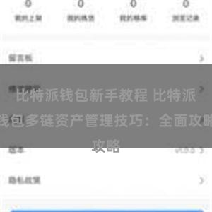 比特派钱包新手教程 比特派钱包多链资产管理技巧：全面攻略