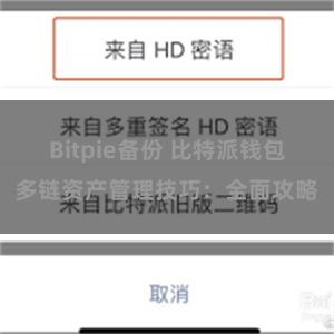 Bitpie备份 比特派钱包多链资产管理技巧：全面攻略