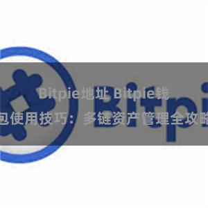 Bitpie地址 Bitpie钱包使用技巧：多链资产管理全攻略