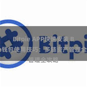 Bitpie APP快速安装 Bitpie钱包使用技巧：多链资产管理全攻略