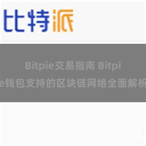 Bitpie交易指南 Bitpie钱包支持的区块链网络全面解析