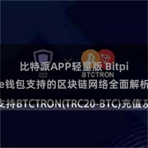 比特派APP轻量版 Bitpie钱包支持的区块链网络全面解析