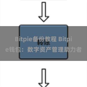 Bitpie备份教程 Bitpie钱包：数字资产管理助力者