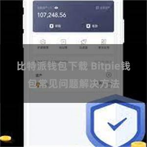 比特派钱包下载 Bitpie钱包常见问题解决方法