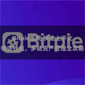 Bitpie系统 快速上手比特派钱包，多链资产管理全攻略