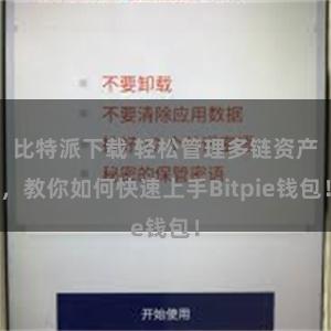 比特派下载 轻松管理多链资产，教你如何快速上手Bitpie钱包！