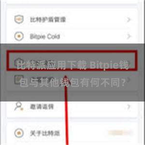 比特派应用下载 Bitpie钱包与其他钱包有何不同？