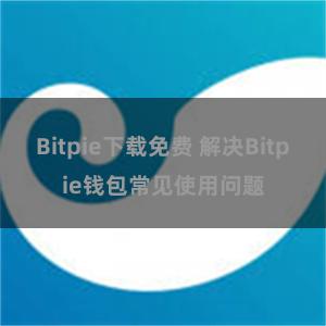 Bitpie下载免费 解决Bitpie钱包常见使用问题