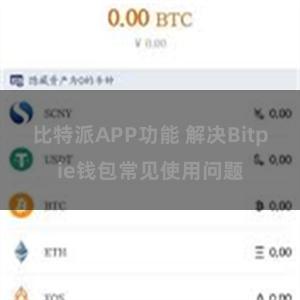 比特派APP功能 解决Bitpie钱包常见使用问题