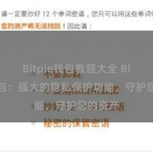 Bitpie钱包教程大全 Bitpie钱包：强大的隐私保护功能，守护您的资产