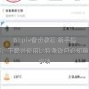 Bitpie备份教程 新手指南：下载并使用比特派钱包必知事项