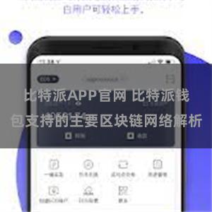 比特派APP官网 比特派钱包支持的主要区块链网络解析