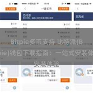 Bitpie多币支持 比特派(Bitpie)钱包下载指南：一站式安装体验