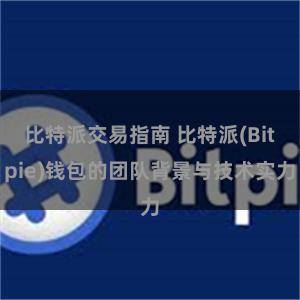 比特派交易指南 比特派(Bitpie)钱包的团队背景与技术实力