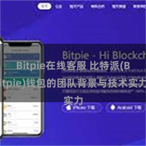 Bitpie在线客服 比特派(Bitpie)钱包的团队背景与技术实力