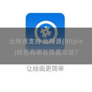 比特派支持 比特派(Bitpie)钱包有哪些隐藏功能？