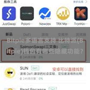 Bitpie多语言支持 比特派(Bitpie)钱包有哪些隐藏功能？