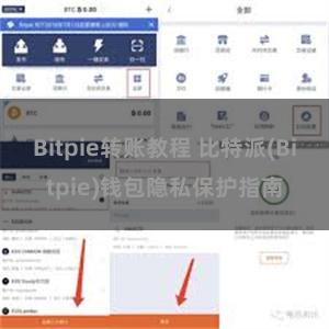 Bitpie转账教程 比特派(Bitpie)钱包隐私保护指南