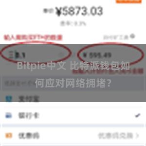 Bitpie中文 比特派钱包如何应对网络拥堵？