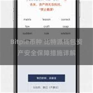 Bitpie币种 比特派钱包资产安全保障措施详解