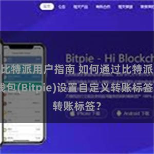 比特派用户指南 如何通过比特派钱包(Bitpie)设置自定义转账标签？