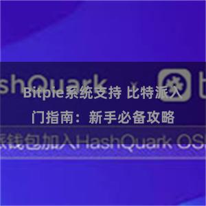 Bitpie系统支持 比特派入门指南：新手必备攻略