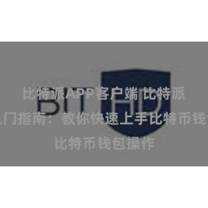 比特派APP客户端 比特派钱包入门指南：教你快速上手比特币钱包操作