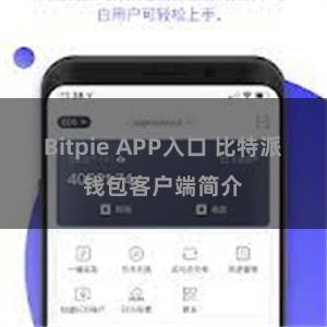 Bitpie APP入口 比特派钱包客户端简介