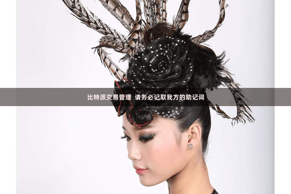 比特派交易管理  请务必记取我方的助记词