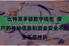 比特派多链数字钱包  保险用户的神秘信息和资金安全不受挫折
