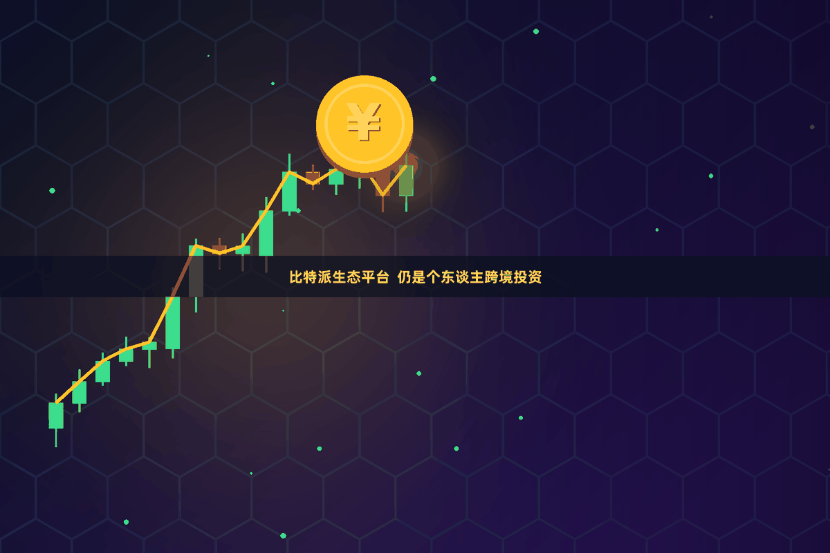 比特派生态平台  仍是个东谈主跨境投资